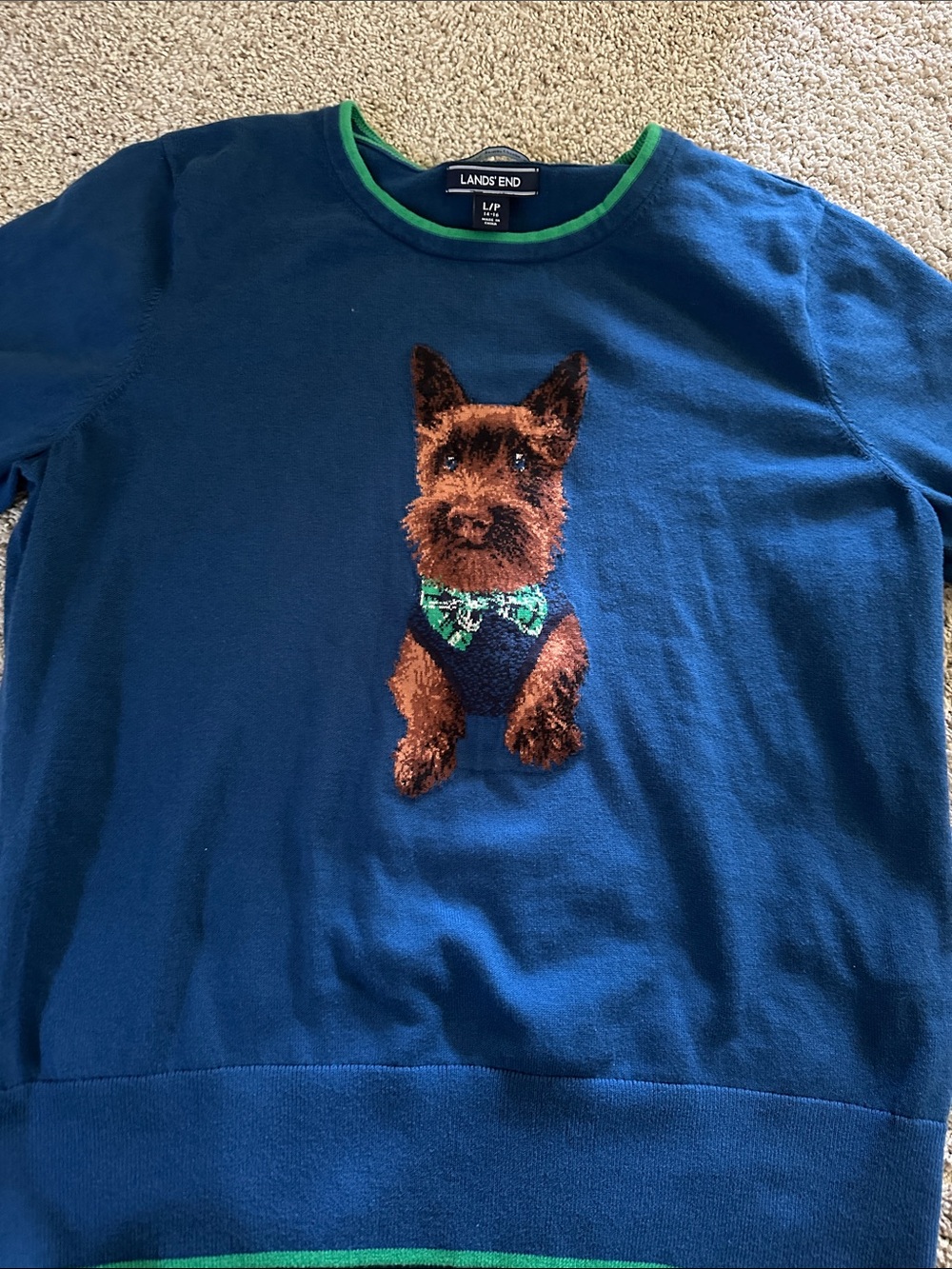 Lands' End Blue Sweater with Green Trim and Embroidered Brown Dog